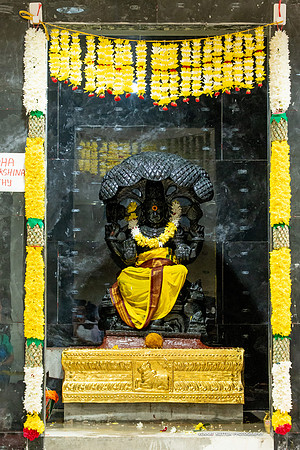 Siva-Durga Temple_VA43807