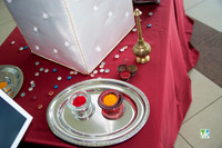 Vishwa_VEN8330