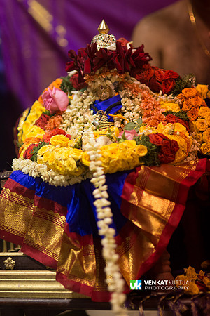 Thiruvadi Pooram_D6H9051