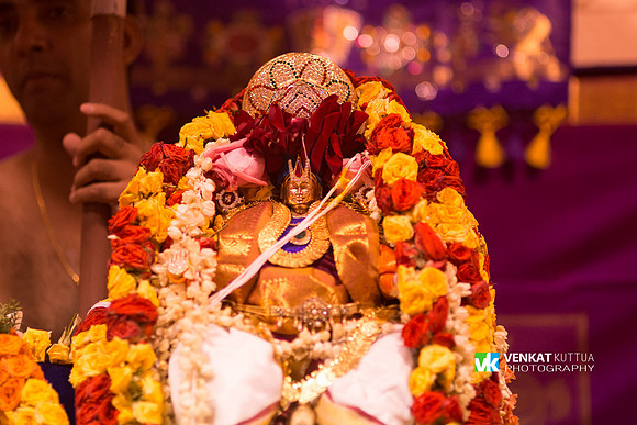 Thiruvadi Pooram_D6H9049