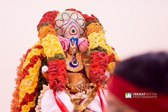 Thiruvadi Pooram_D7K3607