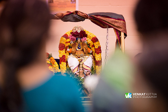 Thiruvadi Pooram_D6H9031