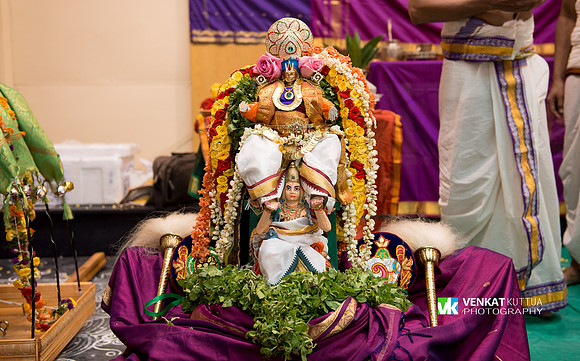 Thiruvadi Pooram_D6H8951