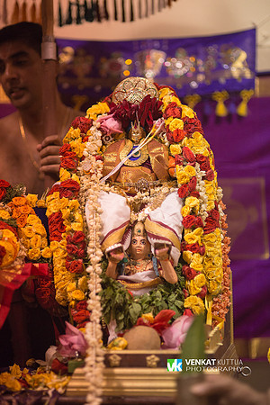 Thiruvadi Pooram_D6H9050