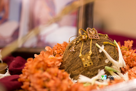 Thiruvadi Pooram_D6H9067