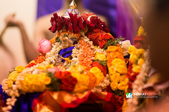 Thiruvadi Pooram_D6H9045