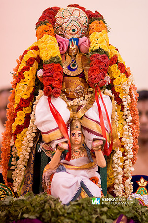 Thiruvadi Pooram_D7K3611