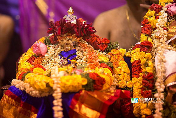 Thiruvadi Pooram_D6H9048