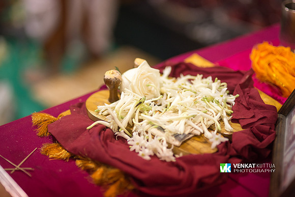 Thiruvadi Pooram_D6H9052