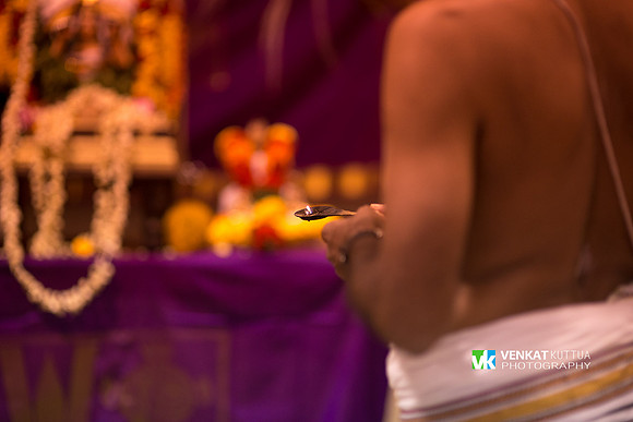 Thiruvadi Pooram_D6H9074