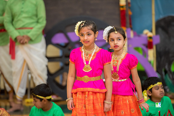 Tamil School Pongal_-7501596