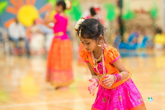 Tamil School Pongal_-7501618