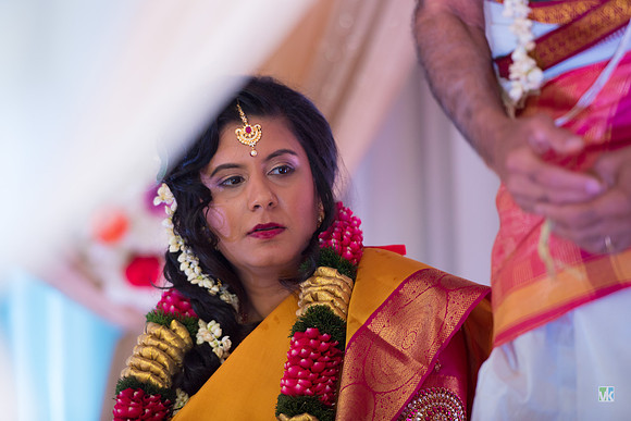 Anu Wedding__7508224